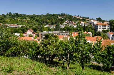 Prédio no centro de Alcobaça