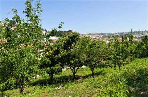 Prédio no centro de Alcobaça