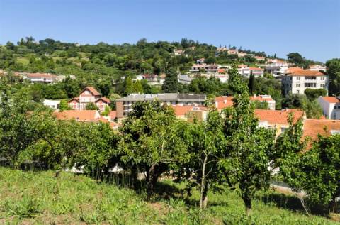 Prédio no centro de Alcobaça