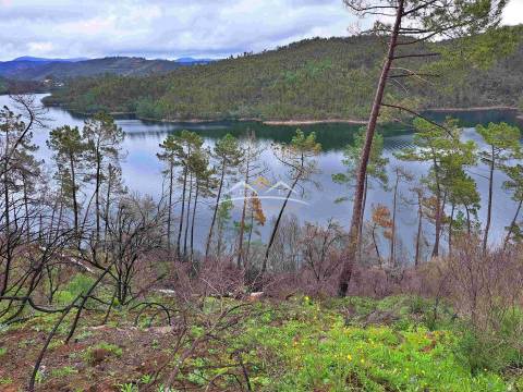 Terreno Rústico  Venda em Olalhas,Tomar