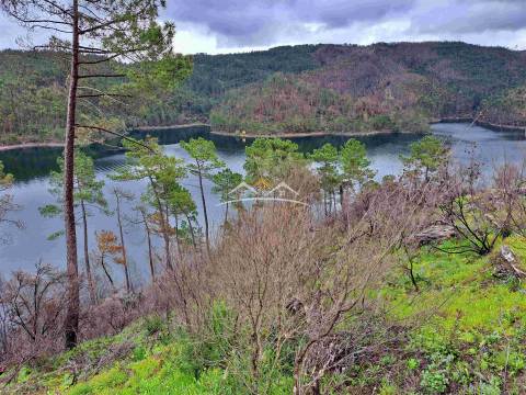 Terreno Rústico  Venda em Olalhas,Tomar