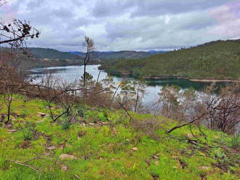 Terreno Rústico  Venda em Olalhas,Tomar