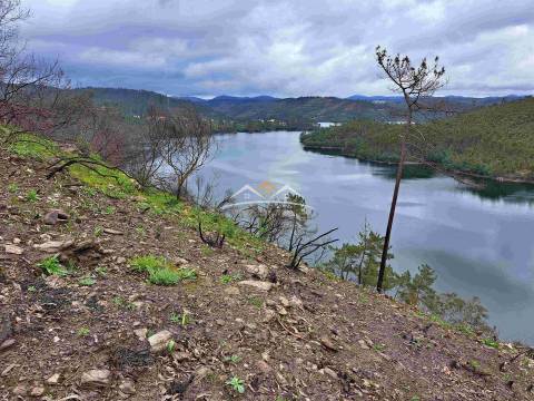 Terreno Rústico  Venda em Olalhas,Tomar