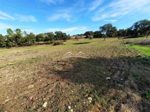 Moradia para Restaurar T3 Venda em São Pedro de Tomar,Tomar
