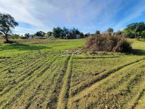 Moradia para Restaurar T3 Venda em São Pedro de Tomar,Tomar