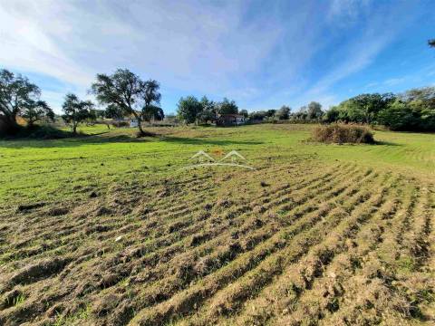 Moradia para Restaurar T3 Venda em São Pedro de Tomar,Tomar