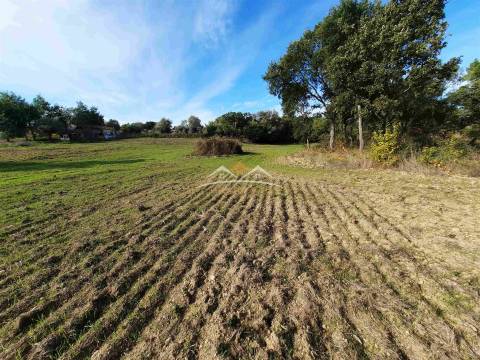 Moradia para Restaurar T3 Venda em São Pedro de Tomar,Tomar