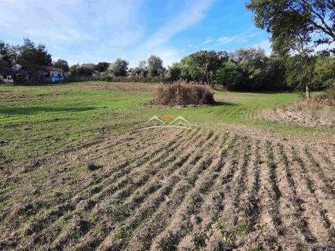 Moradia para Restaurar T3 Venda em São Pedro de Tomar,Tomar