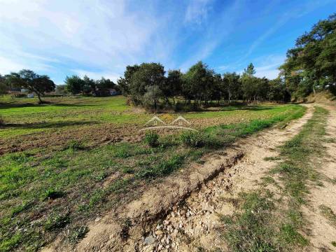 Moradia para Restaurar T3 Venda em São Pedro de Tomar,Tomar