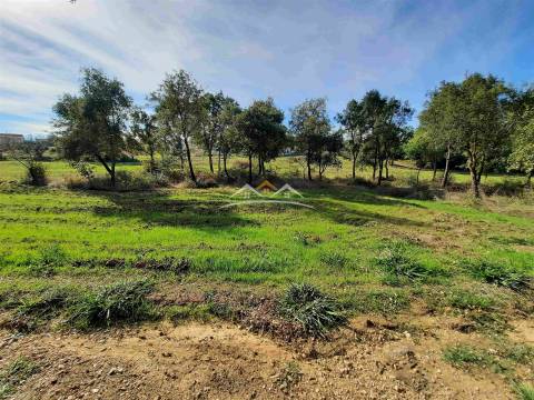 Moradia para Restaurar T3 Venda em São Pedro de Tomar,Tomar
