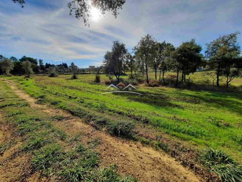 Moradia para Restaurar T3 Venda em São Pedro de Tomar,Tomar