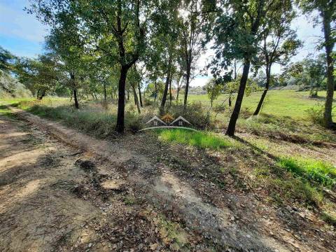 Moradia para Restaurar T3 Venda em São Pedro de Tomar,Tomar