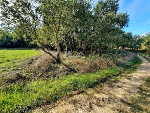 Moradia para Restaurar T3 Venda em São Pedro de Tomar,Tomar