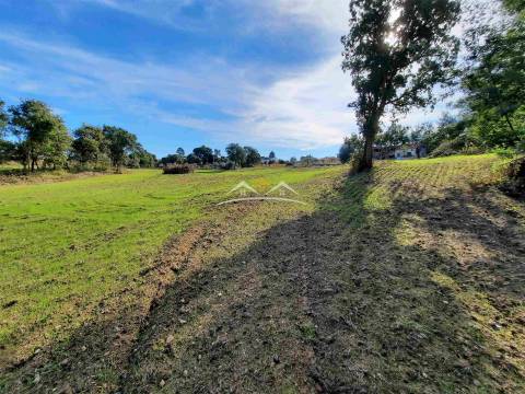 Moradia para Restaurar T3 Venda em São Pedro de Tomar,Tomar