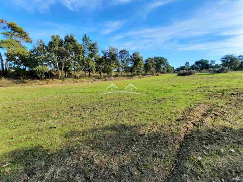 Moradia para Restaurar T3 Venda em São Pedro de Tomar,Tomar