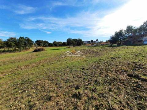 Moradia para Restaurar T3 Venda em São Pedro de Tomar,Tomar