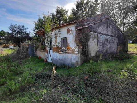 Moradia para Restaurar T3 Venda em São Pedro de Tomar,Tomar