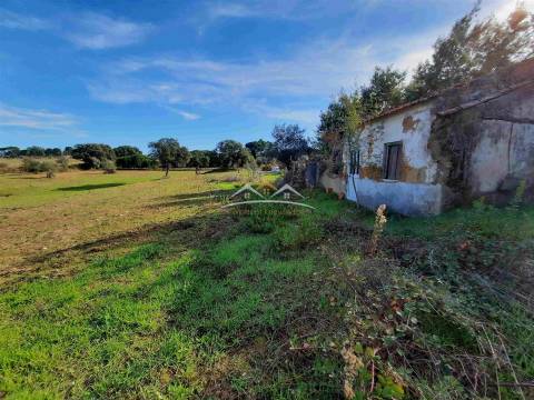 Moradia para Restaurar T3 Venda em São Pedro de Tomar,Tomar