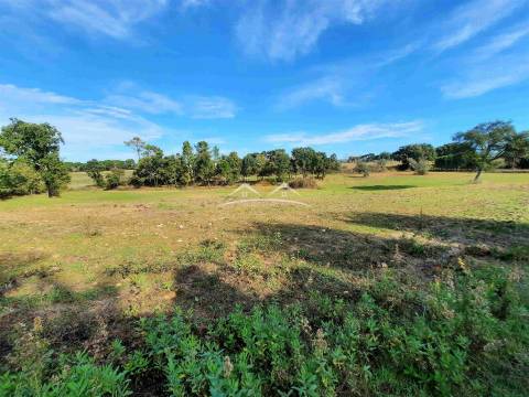Moradia para Restaurar T3 Venda em São Pedro de Tomar,Tomar
