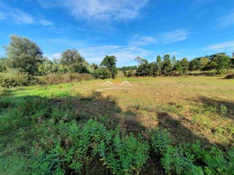 Moradia para Restaurar T3 Venda em São Pedro de Tomar,Tomar