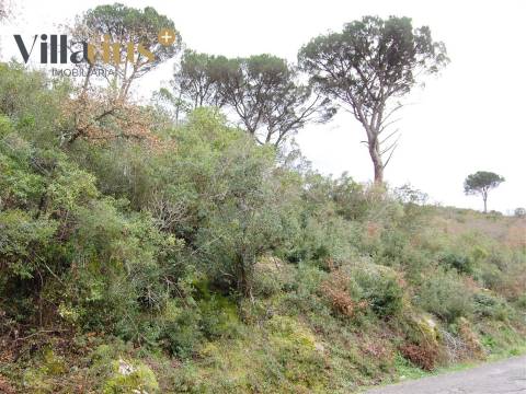 Terreno perto de Tomar