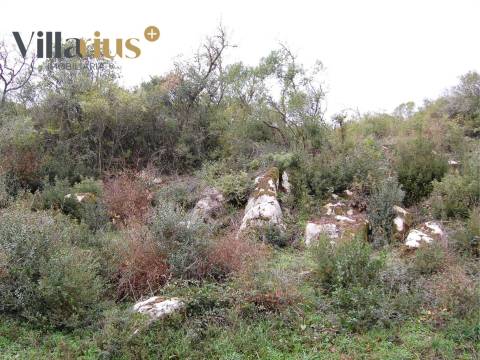 Terreno perto de Tomar