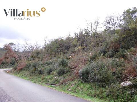 Terreno perto de Tomar