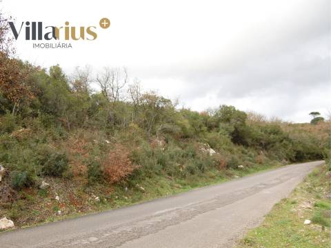 Terreno perto de Tomar