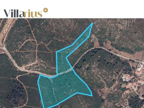 Terreno perto de Tomar