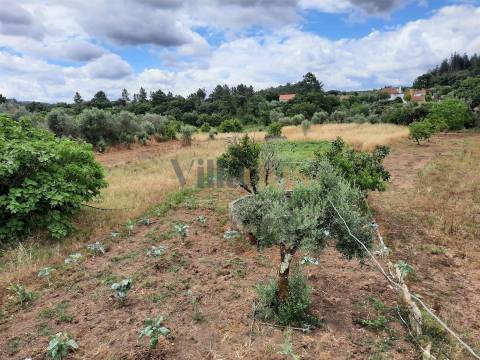 Moradia para reabilitar com 132 m2 de área bruta de construção.