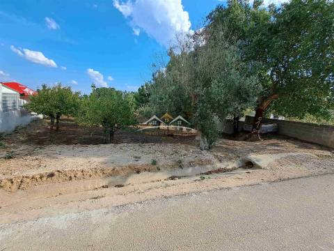 Terreno  Venda em Igreja Nova do Sobral,Ferreira do Zêzere