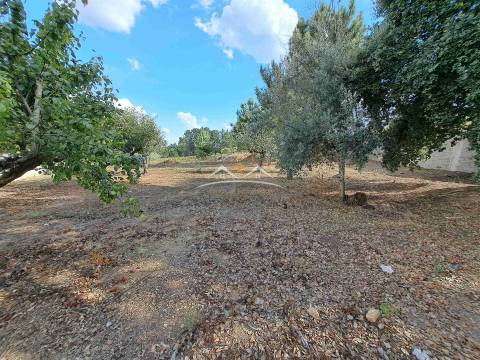 Terreno  Venda em Igreja Nova do Sobral,Ferreira do Zêzere