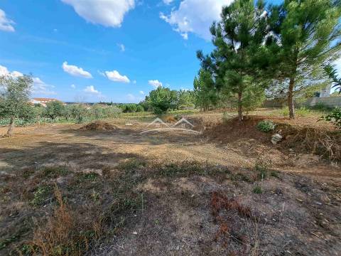 Terreno  Venda em Igreja Nova do Sobral,Ferreira do Zêzere