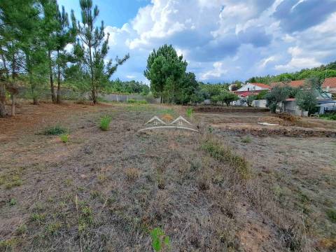 Terreno  Venda em Igreja Nova do Sobral,Ferreira do Zêzere
