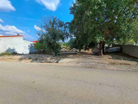 Terreno  Venda em Igreja Nova do Sobral,Ferreira do Zêzere
