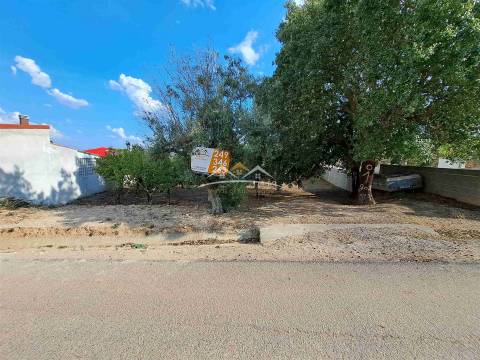 Terreno  Venda em Igreja Nova do Sobral,Ferreira do Zêzere
