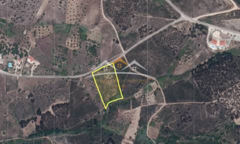 Terreno Rústico  Venda em São Pedro de Tomar,Tomar