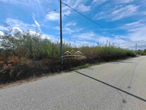 Terreno Rústico  Venda em São Pedro de Tomar,Tomar