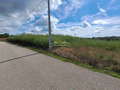 Terreno Rústico  Venda em São Pedro de Tomar,Tomar