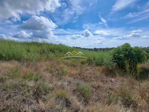 Terreno Rústico  Venda em São Pedro de Tomar,Tomar