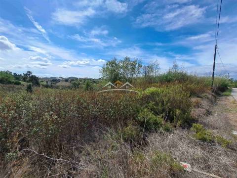 Terreno Rústico  Venda em São Pedro de Tomar,Tomar