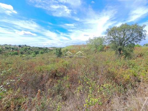 Terreno Rústico  Venda em São Pedro de Tomar,Tomar