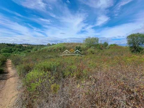 Terreno Rústico  Venda em São Pedro de Tomar,Tomar