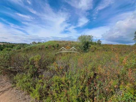 Terreno Rústico  Venda em São Pedro de Tomar,Tomar