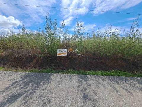 Terreno Rústico  Venda em São Pedro de Tomar,Tomar