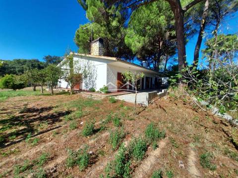 Moradia T4 Venda em Madalena e Beselga,Tomar