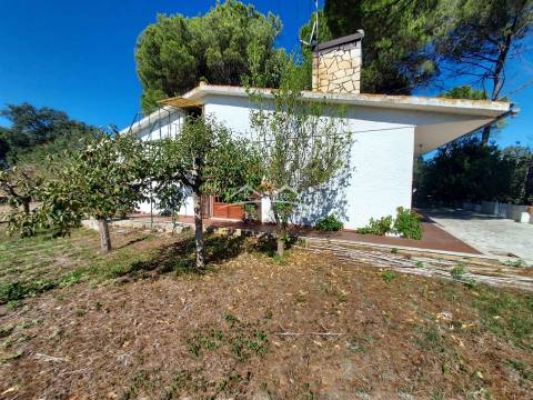 Moradia T4 Venda em Madalena e Beselga,Tomar