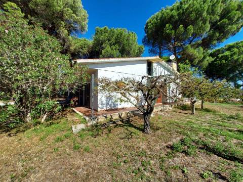 Moradia T4 Venda em Madalena e Beselga,Tomar