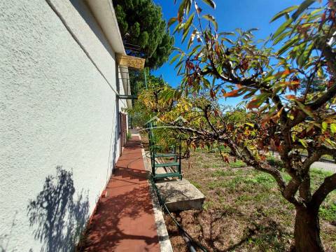 Moradia T4 Venda em Madalena e Beselga,Tomar