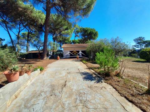 Moradia T4 Venda em Madalena e Beselga,Tomar